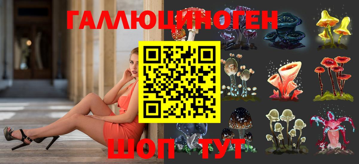 Псилоцибиновые грибы мицелий  закладки  Морозовск  Вход с VPN 