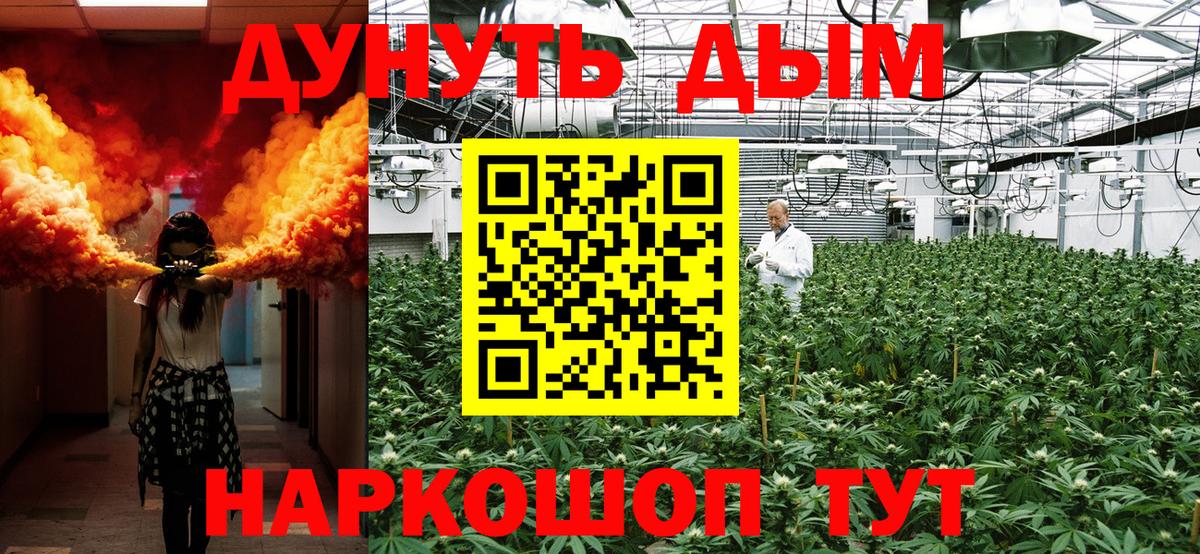 Марихуана Amnesia  Марихуана Bruce Banner  Бошки Шишки планчик  Морозовск  Бошки марихуана сатива  Вход с VPN 